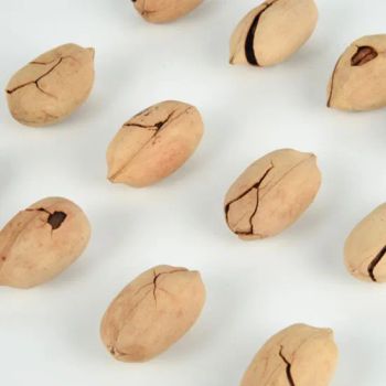 China New Crop Pecan Nuts Peeled Pecan Nuts Big Size Flavor Pecan - Hangzhou Suncamry Agricultural Development Co., Ltd. - China
