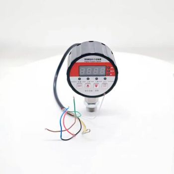 . High-Precision Digital Pressure Gauge for Air Compressors 1/4 NPT - Wenzhou Xinyan Electric Co., Ltd - China