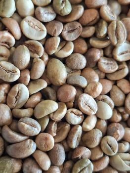 Coffee Beans - SUXID LIMITED - Uganda