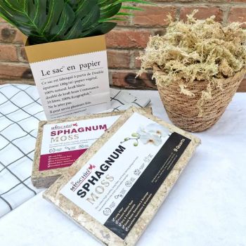 100g 200g High Quality Dry Sphagnum Moss Humidity Boosting for Reptiles Plants - Jinan Sphagnum Horticulture Co., Ltd - China