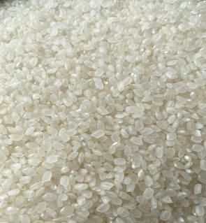 VIETNAMESE JAPONICA 5% BROKEN MAX (SUSHI RICE) - GLOBAL AGRICULTURE AND FOOD COMPANY LIMITED - Vietnam