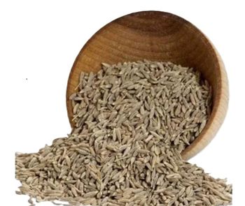 Cumin Seeds Singapore 99% - REVDIX EXIM LLP - India