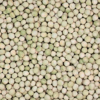 Premium Bulk AD Dried Whole Green Peas Ready-to-Cook for Soups & Curries Frozen Canned Food for Meal Processing - TRADECENTRIC LLC - United States