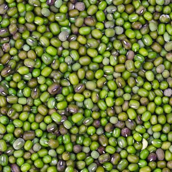 Fresh Green Mung Beans High Quality Green Mung Beans Bulk Packed Natural Protein Rich Healthy Legumes - AGRO AFRIQUE COMPANY LIMITED - Tanzania