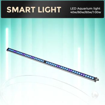 Hybrid 100W Lamp: 12000K White + 450nm Blue for Coral Reefs and Fowlrs - HIGROWSIR LTD. - China