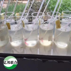 Hydroxypropyl Methyl Cellulose HPMC Detergent Grade for Liquid Detergent Soap Detergent Additive HPMC - Kingmax Cellulose Co., Ltd. - China
