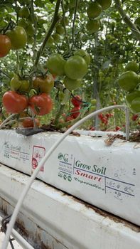 Coco Peat & Coir Pith - Grow Soil Substrates (Pvt) Ltd - Sri Lanka