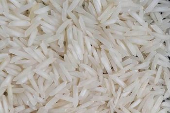 Basmati Rice 1718 Creamy Sella - Evermotion Exports LLP - India