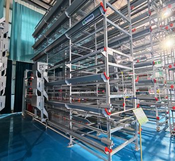 layers husbandry equipment - sichuan Shengxing intelligent equipment - China