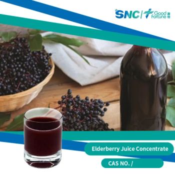 Organic Elderberry Juice Concentrate for Health Drinks and Smoothies - Good Fortune International Trading (Tianjin) Co., Ltd - China