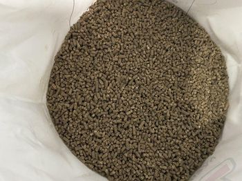 Crab Shell Pellet from KIM NGHIA CO.,LTD Crab Shell Pellet - KIM NGHIA CO.,LTD - Vietnam