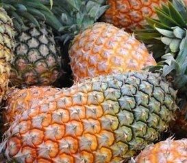 Ugandan Fresh Export-Grade Pineapple - Pearl Organic Farm Produce Uganda - Uganda