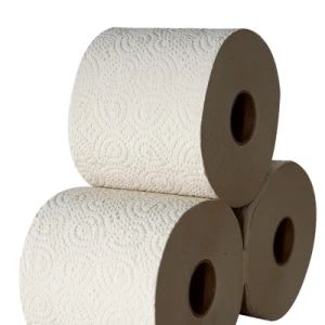 Bamboo Pulp Eco-Friendly Tissues Toilet Paper Natural Tree Free Paper Tissues Bamboo Products Wholesale Cheap Custom Toilet Paper 2 Ply 100 % Cellulose Quality - Anhui Mingde Medical Care Products Co., Ltd. - China