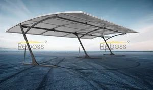 Reboss Cps3100X5950 High Quality Car Canopy Awning Shield Sunshade - Yangzhou Reking Industrial & Trading Co., Ltd. - China