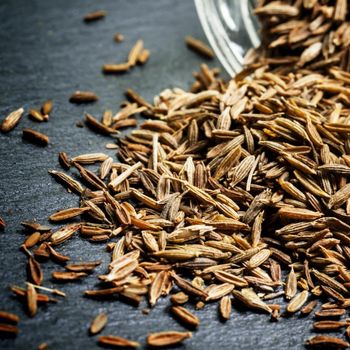 Top Quality Cumin Seeds Fresh Cumin For Export And Food Manufacturing With Natural Rich Flavor And Aroma from THE GREEN INTERNATIONAL LIMITED Top Quality Cumin Seeds Fresh Cumin For Export And Food Manufacturing With Natural Rich Flavor And Aroma - THE GREEN INTERNATIONAL LIMITED - Tanzania