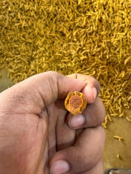 turmeric premium salem - KK MERIDIAN - India