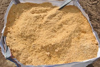 Wholesale Saw Dust For Sale Dry Clean And Fine Wood Powder Ideal For Bulk Orders Animal Bedding Fuel And Industrial Use Buy Now Fast Delivery Premium Quality - wood traders - Poland