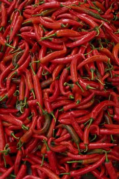 Frozen Red Chili Hot Chili Pepper With High Quality - Chili Pepper  - NUTRIDIET LDA - United Kingdom