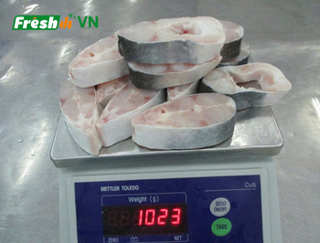 Pangasius Steak - SEAFOOD VIET NAM AGENT - Vietnam