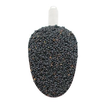 Top Grade Black Lentils With Strong Taste And Aroma  Black Lentils Perfect For Large Scale Buyers And Traders - THE GREEN INTERNATIONAL LIMITED - Tanzania