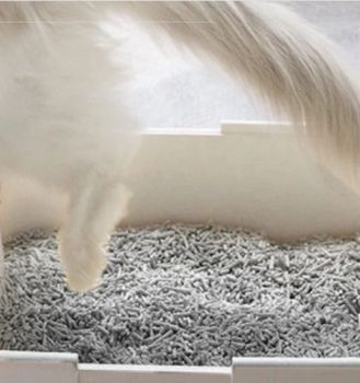 Desodorize Master Kitty Litter Activated Charcoal Tofu Cat Litter Sand - Dalian Eastland International Trading Co., Ltd. - China