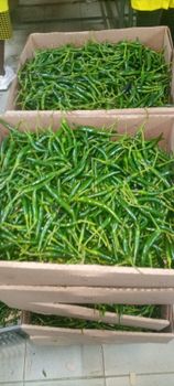 GREEN & RED CHILIES - damagy greens - Kenya