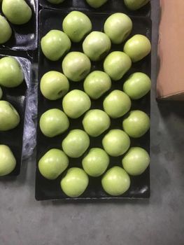 Premium Fresh Green Qinguan Apples, Crisp Sweet Juicy Grade A Fruits with Rich Nutrition from Super vegetables and fruits CO Premium Fresh Green Qinguan Apples, Crisp Sweet Juicy Grade A Fruits with Rich Nutrition - Super vegetables and fruits CO - China