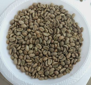 Arabica coffee Grade Unwashed Grade 5 Origin Ethiopia Nekemit - YANET INDUSTRIAL PLC - Ethiopia
