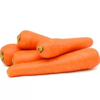 Carrots – Export Quality from India - AGROCARTE EXIM ENTERPRISES PVT LTD - India