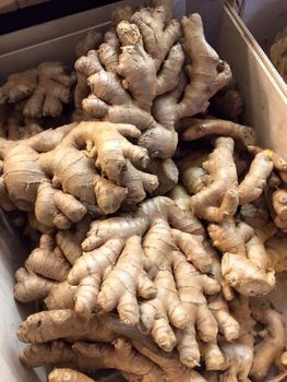 Fresh Ginger - BF GLOBAL TRADING (PTY) LTD - South Africa