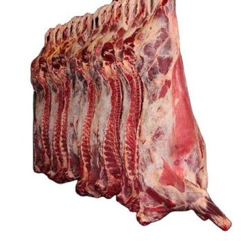 Frozen Lamb Carcass Hot Sale Muton Meat Pricing Best Price Quality High Quality Place Of Origin Europe Delivery Fast - NUTRIDIET LDA - United Kingdom