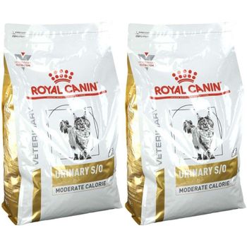 Royal Caninn High Quality Organic Sugar-Free 15kg Pet Treat Bags Pack in Stock - PEACE PRODUCTS LIMITED - United Kingdom
