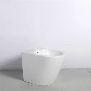 Sanitary Wares Bathroom Floor Mounted Ceramic Female Bidet European Style - CHAOZHOU BOSTANA SANITARYWARE CO., LTD. - China