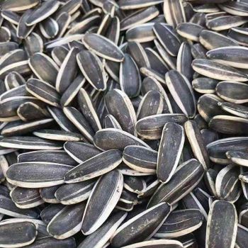 Premium Quality Sunflower Seeds – Oil Grade & Confectionery Grade - jbssa - Brazil