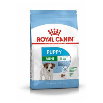 Royal Canin Everyday Nutrition Dry Food for Pets Fast Delivery Wholesale Supply - Koto Global Trade SPRL - Belgium