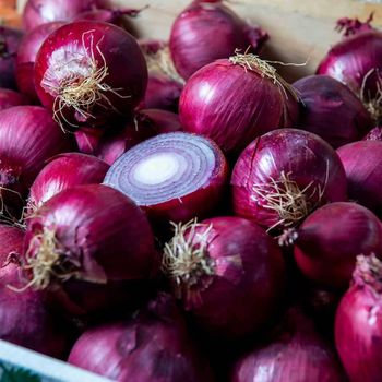 Fresh Onion Organic Varieties Packed With Natural Goodness And High Shelf Appeal - THE GREEN INTERNATIONAL LIMITED - Tanzania