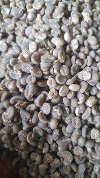 Green Beans Coffee Arabica Organic No Decaffeinated No, Yes Degree of Processing Raw Bean Type Arabica, Robusta - PT. Artha Mustika Raya - Indonesia