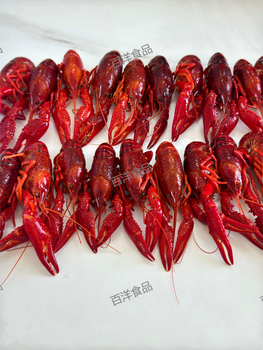 Frozen Cooked Whole Crawfish Unseasoned or Seasoned Origin China - Jingzhou Baiyang Food Co., Ltd. - China