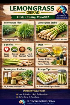 Lemon Grass Aroma Fresh Flavor Vibrant Form Dried, Fresh Delivery Form Bag Drying Method Naturally Dried Harvest Method Hand-harvested - PT. Synergy Natura Optima - Indonesia