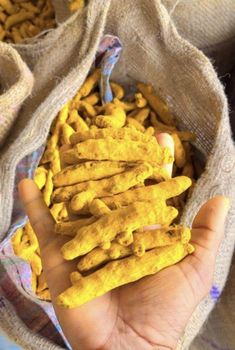 Turmeric double polished from Mahadev Enterprises Turmeric double polished - Mahadev Enterprises - India