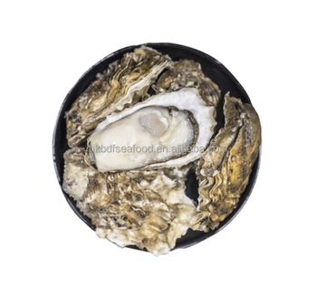 Frozen Freshwater high quality frozen half shell pacific oyster - Fuzhou BeautifulAgricultural Development Co., Limited - Hong Kong