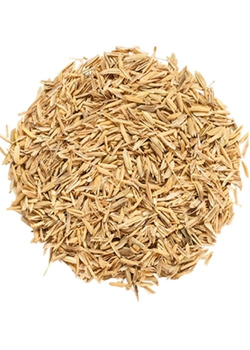 Bulk supply rice husk factory price export grade wholesale fast delivery - Mundus Exports Pty Ltd - South Africa