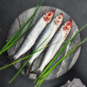 Buy Wholesale French Frozen Atlantic Herring (clupea Harengus) / Cheap Prices Frozen Herring Fish / Seafood - AK.BOLO MEDIK LTD - Thailand