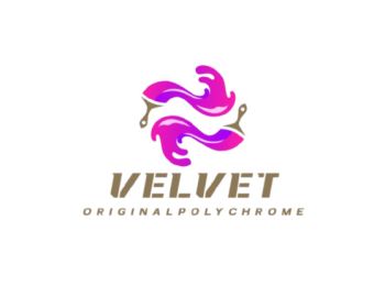 Product - Zhangzhou Weiweite Trading Co., Ltd. - China
