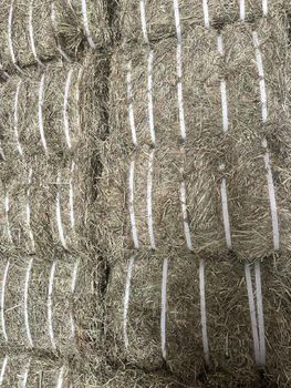 Dobule Compress Meadow Hay – product photo, Hay products found from trusted suppliers, wholesalers, manufacturers & exporters Listing
