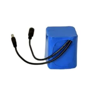 Customizable Rechargeable 18650 Lithium Ion Battery Pack 10.8V 3s2p Battery Pack - EVVA TECHNOLOGY CO., LIMITED - China