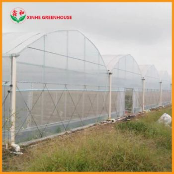 Xinhe Ventilation Nylon Mosquito Net Insect-Proof Screen with Good Service - Shandong Sinok Agriculture Technology Co., Ltd. - China