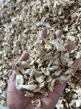 Dehydrated Ginger Flakes Type Dried Aroma Natural Flavor Pungent Port Nhava shewa Total Ash Max 8% Common Name Adrak Origin Asia, India - Shree Enterprises - India