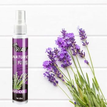 Factoy Wholesale Fragrance Original Perfumes 60ml Car Air Fresheners Room Spray - Guangzhou W&X Chemical Co., Ltd - China