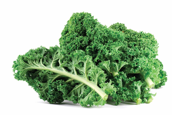 High quality kale bulk supply factory price fast delivery Color Green Organic Yes Texture Crisp Purity Organic Supply Type Bulk - Mundus Exports Pty Ltd - South Africa